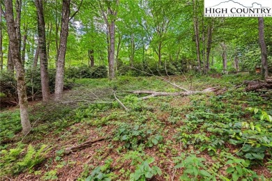 One of the last buildable lots in Lake View Hills neighborhood on Land Harbor Golf Course in North Carolina - for sale on GolfHomes.com, golf home, golf lot