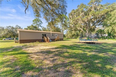 No storm or flood damage from Helene or Milton! NO flood on Saddlebrook Golf and Country Club in Florida - for sale on GolfHomes.com, golf home, golf lot