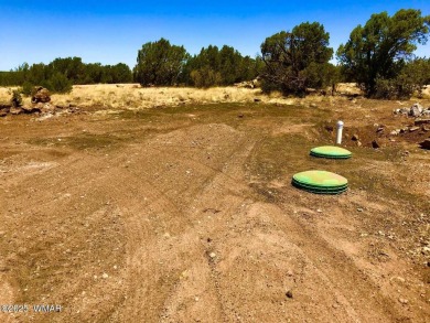 New septic system professionally installed! Are you ready to own on Silver Creek Golf Club in Arizona - for sale on GolfHomes.com, golf home, golf lot