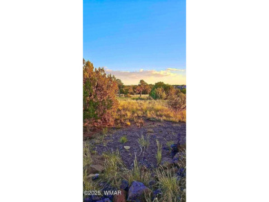 New septic system professionally installed! Are you ready to own on Silver Creek Golf Club in Arizona - for sale on GolfHomes.com, golf home, golf lot