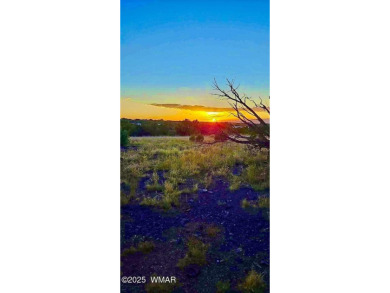 New septic system professionally installed! Are you ready to own on Silver Creek Golf Club in Arizona - for sale on GolfHomes.com, golf home, golf lot