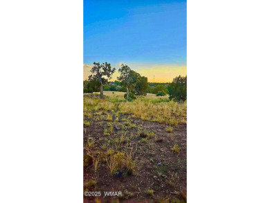 New septic system professionally installed! Are you ready to own on Silver Creek Golf Club in Arizona - for sale on GolfHomes.com, golf home, golf lot