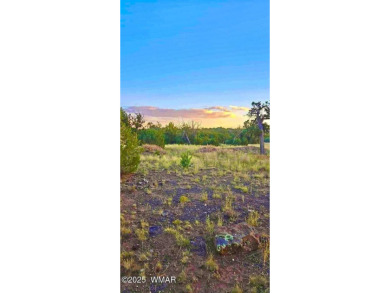New septic system professionally installed! Are you ready to own on Silver Creek Golf Club in Arizona - for sale on GolfHomes.com, golf home, golf lot