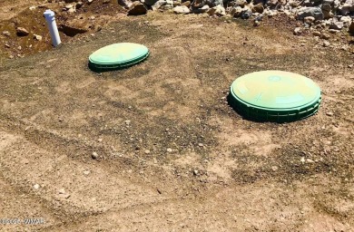 New septic system professionally installed! Are you ready to own on Silver Creek Golf Club in Arizona - for sale on GolfHomes.com, golf home, golf lot