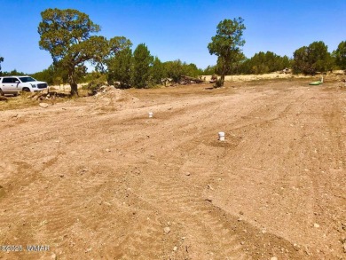 New septic system professionally installed! Are you ready to own on Silver Creek Golf Club in Arizona - for sale on GolfHomes.com, golf home, golf lot