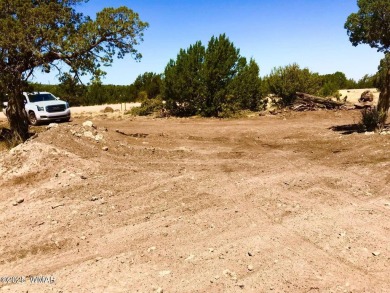 New septic system professionally installed! Are you ready to own on Silver Creek Golf Club in Arizona - for sale on GolfHomes.com, golf home, golf lot