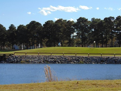 Newly Reduced Price!  This home is a unique home nestled in the on Myrtlewood Golf Course and Club  in South Carolina - for sale on GolfHomes.com, golf home, golf lot
