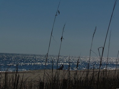 Newly Reduced Price!  This home is a unique home nestled in the on Myrtlewood Golf Course and Club  in South Carolina - for sale on GolfHomes.com, golf home, golf lot