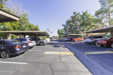 : Located in the desirable Peoria Pines Golf Course community on Country Meadows Golf Club in Arizona - for sale on GolfHomes.com, golf home, golf lot