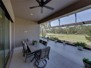 Welcome to your next chapter in beautiful Lake Ashton--Central on Lake Ashton Golf Club in Florida - for sale on GolfHomes.com, golf home, golf lot