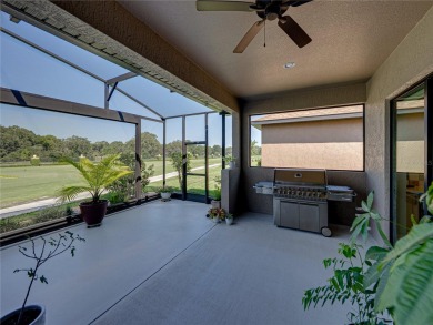 Welcome to your next chapter in beautiful Lake Ashton--Central on Lake Ashton Golf Club in Florida - for sale on GolfHomes.com, golf home, golf lot