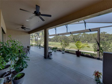 Welcome to your next chapter in beautiful Lake Ashton--Central on Lake Ashton Golf Club in Florida - for sale on GolfHomes.com, golf home, golf lot