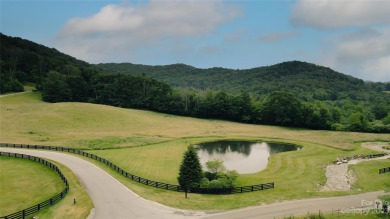Significant 250+/-acre MOUNTAIN TOP is RESORT/ DEVELOPER'S on Diamond Creek in North Carolina - for sale on GolfHomes.com, golf home, golf lot