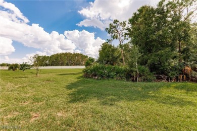 WELCOME TO SERENE LIVING AT THE PEACEFUL 55+ ACTIVE ADULT GATED on River Hall Country Club in Florida - for sale on GolfHomes.com, golf home, golf lot