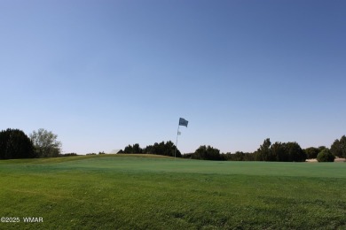 Build your dream home on this stunning 1/2 acre lot located on Silver Creek Golf Club in Arizona - for sale on GolfHomes.com, golf home, golf lot