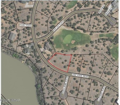 Build your dream home on this stunning 1/2 acre lot located on Silver Creek Golf Club in Arizona - for sale on GolfHomes.com, golf home, golf lot