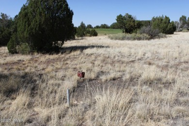 Build your dream home on this stunning 1/2 acre lot located on Silver Creek Golf Club in Arizona - for sale on GolfHomes.com, golf home, golf lot
