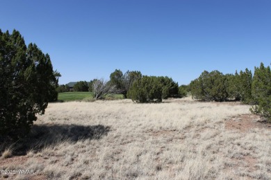 Build your dream home on this stunning 1/2 acre lot located on Silver Creek Golf Club in Arizona - for sale on GolfHomes.com, golf home, golf lot