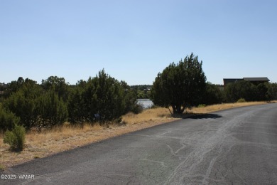 Build your dream home on this stunning 1/2 acre lot located on Silver Creek Golf Club in Arizona - for sale on GolfHomes.com, golf home, golf lot