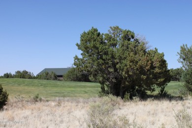 Build your dream home on this stunning 1/2 acre lot located on Silver Creek Golf Club in Arizona - for sale on GolfHomes.com, golf home, golf lot