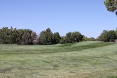 Build your dream home on this stunning 1/2 acre lot located on Silver Creek Golf Club in Arizona - for sale on GolfHomes.com, golf home, golf lot