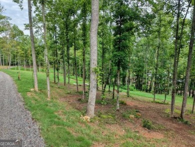 ESTATE OR COMPOUMD READY! 9.64 ACRES GATED PRIVACY OVERLOOKING on Old Union Golf Course in Georgia - for sale on GolfHomes.com, golf home, golf lot