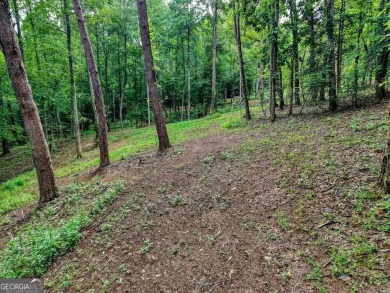 ESTATE OR COMPOUMD READY! 9.64 ACRES GATED PRIVACY OVERLOOKING on Old Union Golf Course in Georgia - for sale on GolfHomes.com, golf home, golf lot