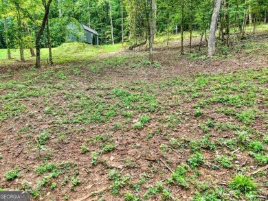 ESTATE OR COMPOUMD READY! 9.64 ACRES GATED PRIVACY OVERLOOKING on Old Union Golf Course in Georgia - for sale on GolfHomes.com, golf home, golf lot