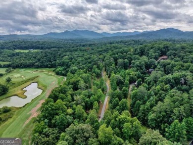 ESTATE OR COMPOUMD READY! 9.64 ACRES GATED PRIVACY OVERLOOKING on Old Union Golf Course in Georgia - for sale on GolfHomes.com, golf home, golf lot