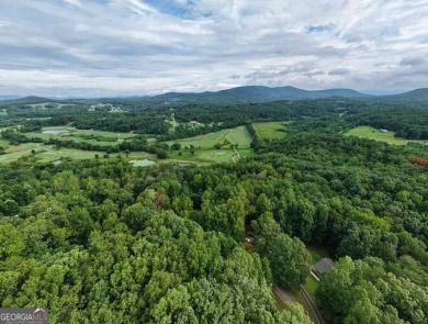 ESTATE OR COMPOUMD READY! 9.64 ACRES GATED PRIVACY OVERLOOKING on Old Union Golf Course in Georgia - for sale on GolfHomes.com, golf home, golf lot