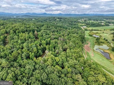 ESTATE OR COMPOUMD READY! 9.64 ACRES GATED PRIVACY OVERLOOKING on Old Union Golf Course in Georgia - for sale on GolfHomes.com, golf home, golf lot