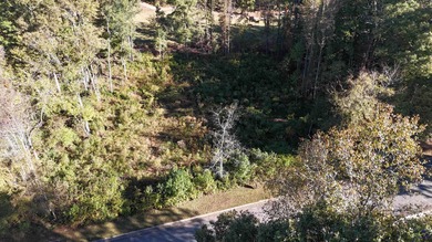 Build your DREAM home on this stunning prepped lot located in a on Barrington Hall Golf Course in Georgia - for sale on GolfHomes.com, golf home, golf lot