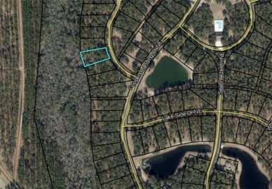 Check out this lovely 0.64 acre homesite that backs up to the on Sapelo Hammock Golf Club in Georgia - for sale on GolfHomes.com, golf home, golf lot