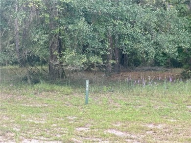 Check out this lovely 0.64 acre homesite that backs up to the on Sapelo Hammock Golf Club in Georgia - for sale on GolfHomes.com, golf home, golf lot