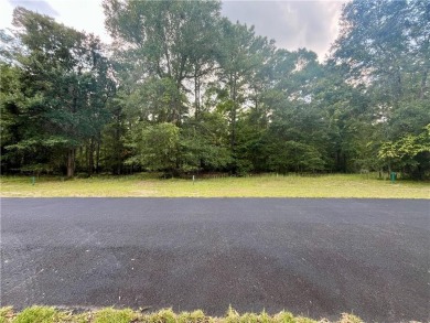 Check out this lovely 0.64 acre homesite that backs up to the on Sapelo Hammock Golf Club in Georgia - for sale on GolfHomes.com, golf home, golf lot