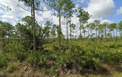 Excellent 60x120 lot in a desirable Punta Gorda neighborhood on Seminole Lakes Country Club in Florida - for sale on GolfHomes.com, golf home, golf lot