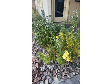 Welcome to this beautiful 1,981 sq. ft. home located in the on Mountain Falls Golf Course in Nevada - for sale on GolfHomes.com, golf home, golf lot