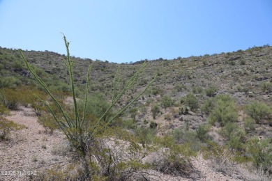 Discover the perfect opportunity to build your dream home on on Del Lago Golf Club in Arizona - for sale on GolfHomes.com, golf home, golf lot