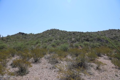 Discover the perfect opportunity to build your dream home on on Del Lago Golf Club in Arizona - for sale on GolfHomes.com, golf home, golf lot