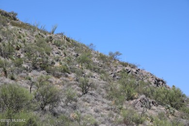 Discover the perfect opportunity to build your dream home on on Del Lago Golf Club in Arizona - for sale on GolfHomes.com, golf home, golf lot