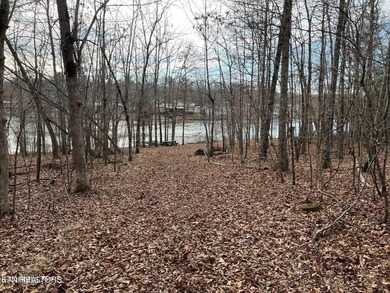 Beautiful over 1/2 Acre Lakefront Lot! Level to Gently sloping on Lake Tansi Village Country Club in Tennessee - for sale on GolfHomes.com, golf home, golf lot