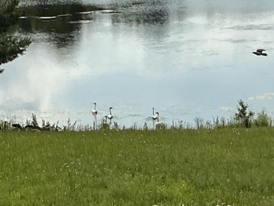 Experience luxury and serenity with this beautifully appointed 3 on Eagle Ridge Golf Course in Michigan - for sale on GolfHomes.com, golf home, golf lot