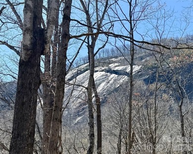 Exceptional location with stunning views of the dramatic on Rumbling Bald Resort on Lake Lure in North Carolina - for sale on GolfHomes.com, golf home, golf lot
