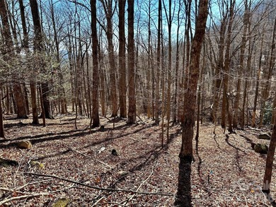 Exceptional location with stunning views of the dramatic on Rumbling Bald Resort on Lake Lure in North Carolina - for sale on GolfHomes.com, golf home, golf lot