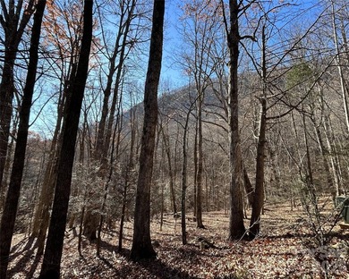 Exceptional location with stunning views of the dramatic on Rumbling Bald Resort on Lake Lure in North Carolina - for sale on GolfHomes.com, golf home, golf lot