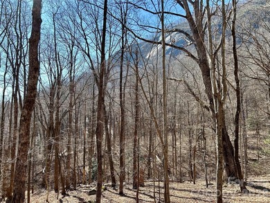 Exceptional location with stunning views of the dramatic on Rumbling Bald Resort on Lake Lure in North Carolina - for sale on GolfHomes.com, golf home, golf lot