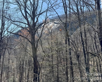 Exceptional location with stunning views of the dramatic on Rumbling Bald Resort on Lake Lure in North Carolina - for sale on GolfHomes.com, golf home, golf lot