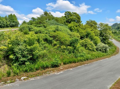 Partially cleared 0.42-acre lot in the desirable Lake Norris on Woodlake Golf Club in Tennessee - for sale on GolfHomes.com, golf home, golf lot