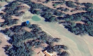 Scenic development surrounded by nature.  This lot overlooks a on Sapelo Hammock Golf Club in Georgia - for sale on GolfHomes.com, golf home, golf lot