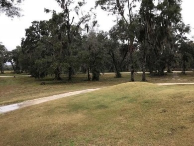 Scenic development surrounded by nature.  This lot overlooks a on Sapelo Hammock Golf Club in Georgia - for sale on GolfHomes.com, golf home, golf lot